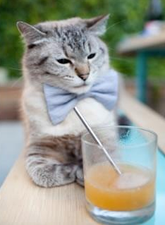 爱游戏app活动-中国男篮遭遇伤病潮 替补阵容火线救援，中国,男篮