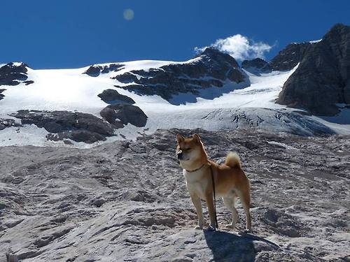 爱游戏体育app-中小学体育评价标准逐步细化，中小学体育评估办法