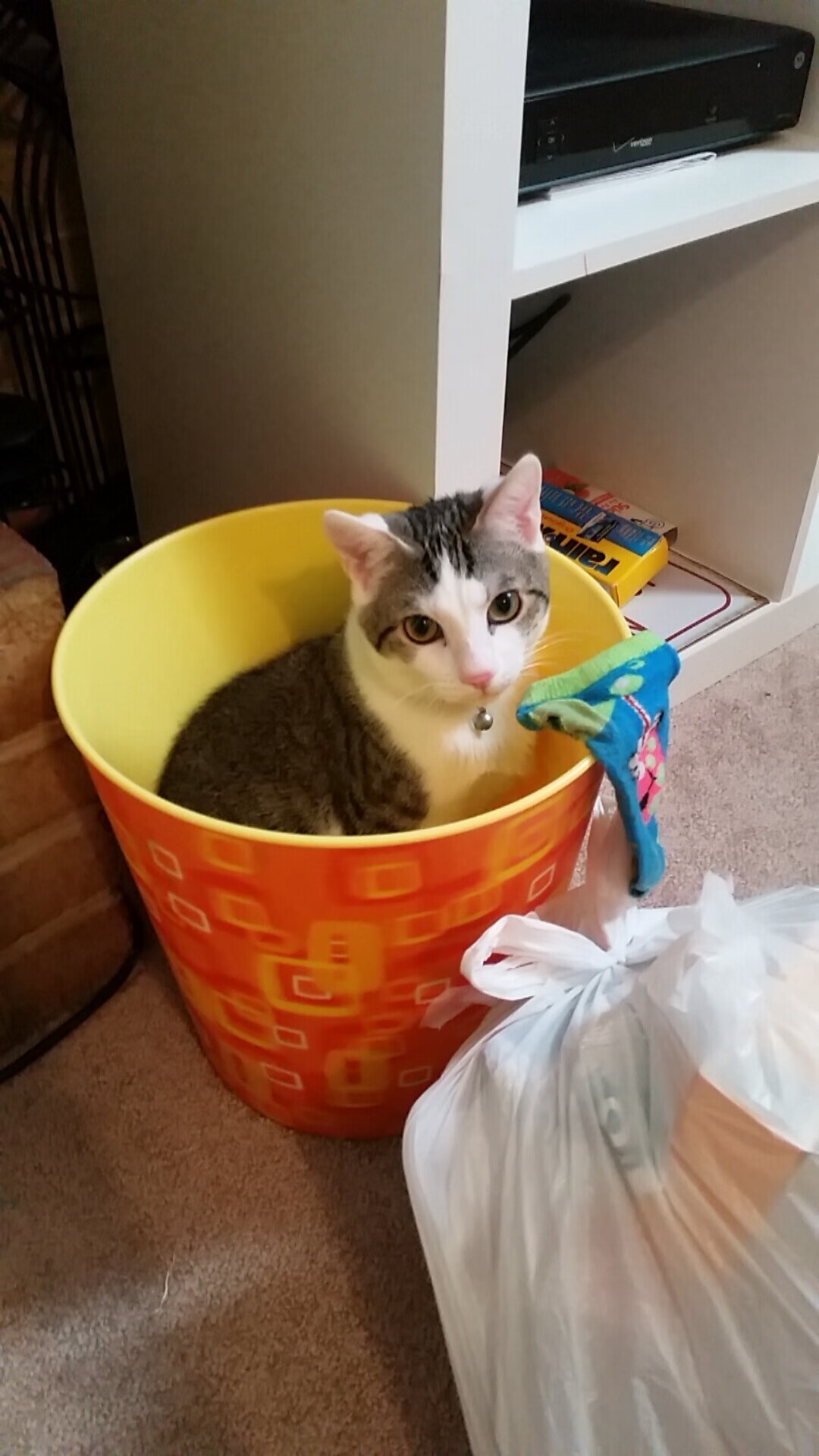 王哲林内线统治力助上海队强势逆袭,王哲林来上海