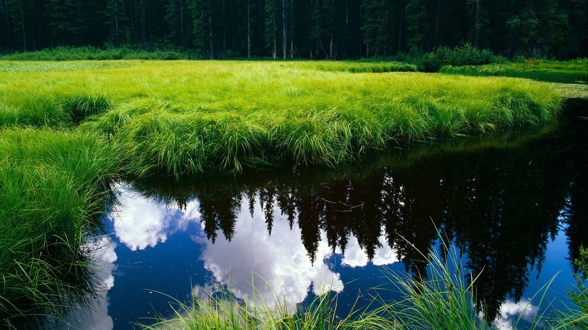 蛙泳新秀打破个人最佳，蛙泳大神