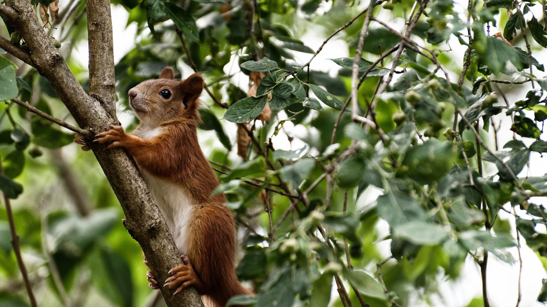 爱游戏平台-“足球+教育”模式推广，开发多样化课程