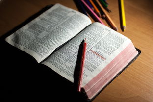 爱游戏体育在线-体育教师能力认证制度在试点城市启动，体育教师资格证认定条件