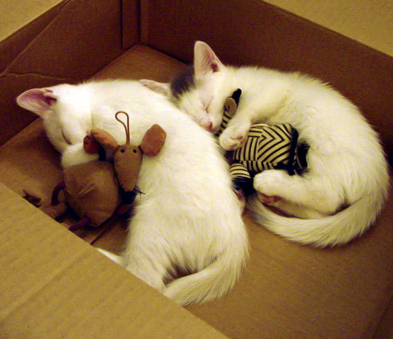 爱游戏体育在线-冬季项目备战计划逐步进入实战阶段，项目冬季施工措施