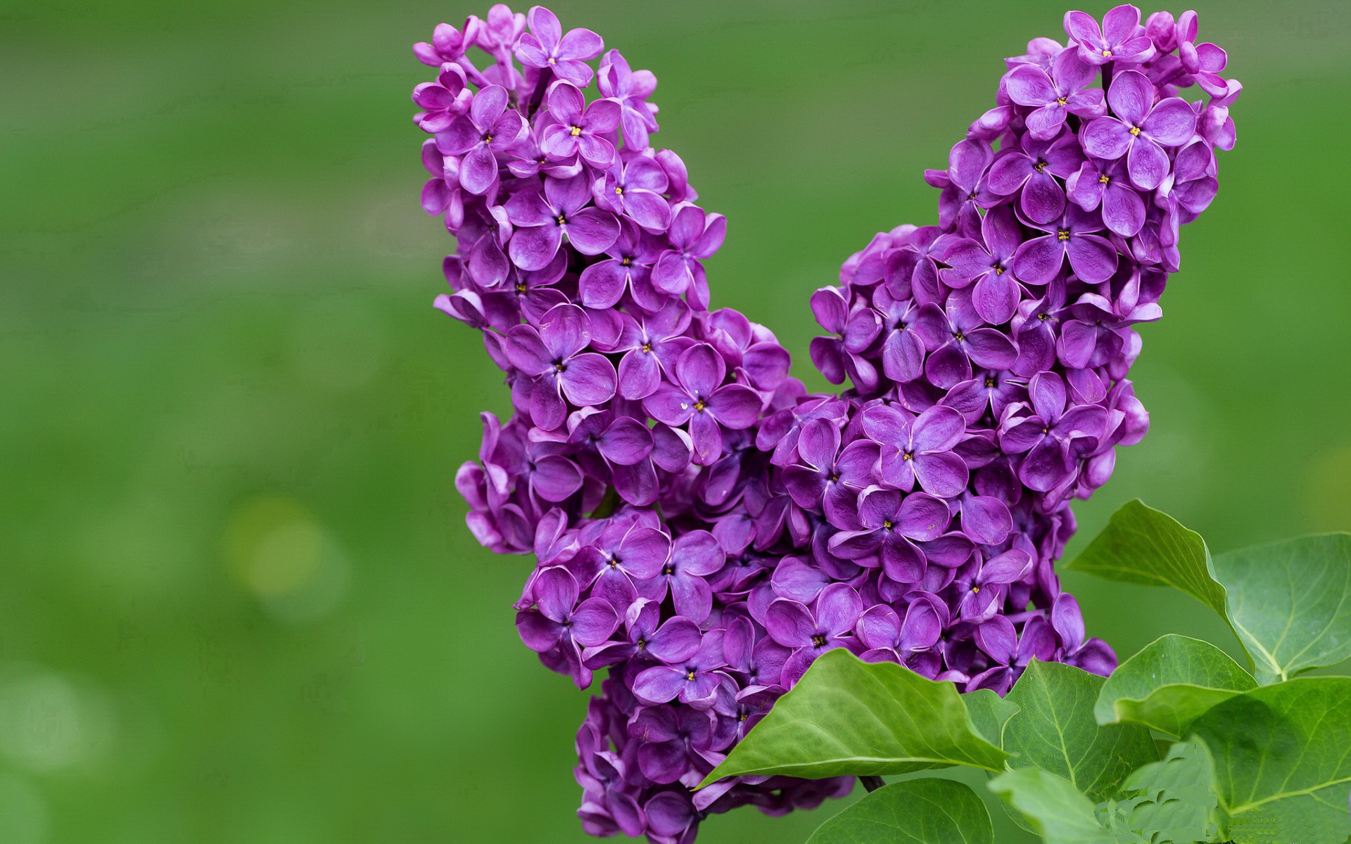 基于云计算的足球数据分析平台正式上线，提升比赛解读深度，足球大数据分析系统