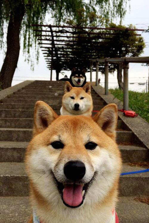 爱游戏官网充值-掘金核心复出帮助球队稳住阵脚，掘金主力球员名单