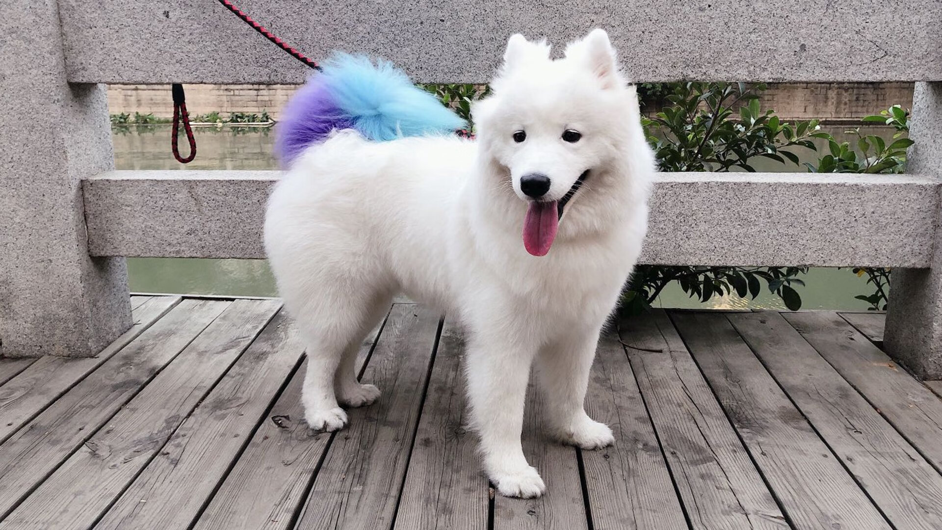 爱游戏体育app-法甲天才崭露头角：未来巨星引领风潮！，法甲实力定位